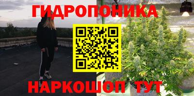 гидропоника Краснознаменск