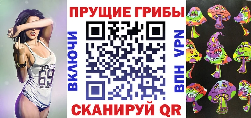 Галлюциногенные грибы Psilocybine cubensis Кировск