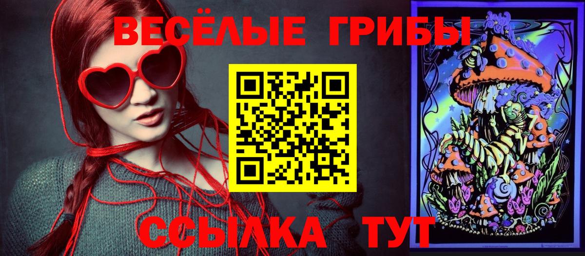 Галлюциногенные грибы Cubensis  Вход с VPN  купить наркотик  Кировск 