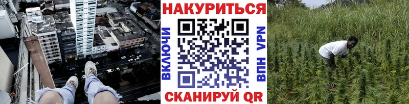 Шишки марихуана VHQ  даркнет телеграм  Кировск 